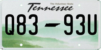 TN license plate Q8393U