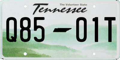 TN license plate Q8501T
