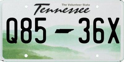 TN license plate Q8536X