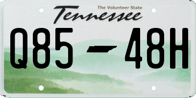 TN license plate Q8548H