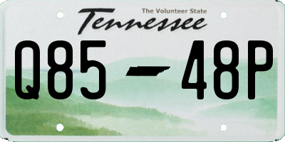 TN license plate Q8548P