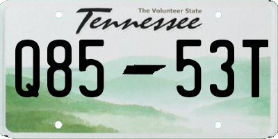 TN license plate Q8553T