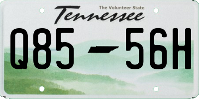 TN license plate Q8556H
