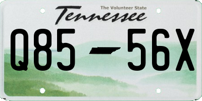 TN license plate Q8556X