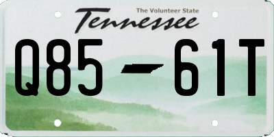 TN license plate Q8561T