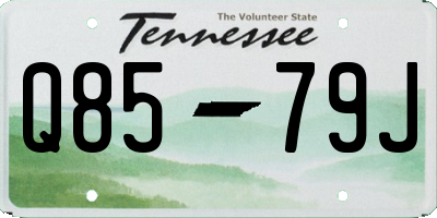 TN license plate Q8579J