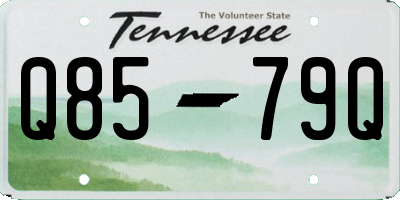 TN license plate Q8579Q