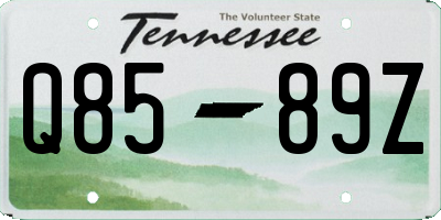 TN license plate Q8589Z