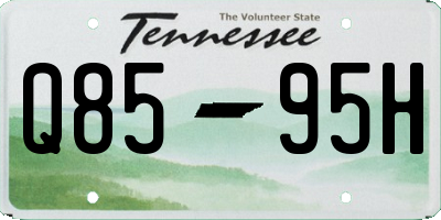 TN license plate Q8595H