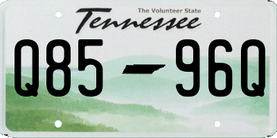 TN license plate Q8596Q