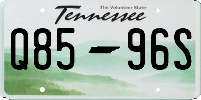 TN license plate Q8596S
