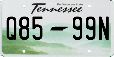 TN license plate Q8599N