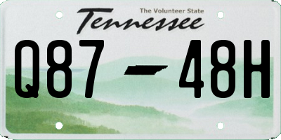 TN license plate Q8748H