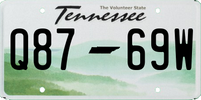 TN license plate Q8769W