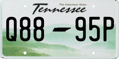 TN license plate Q8895P