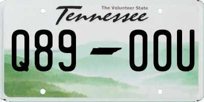 TN license plate Q8900U