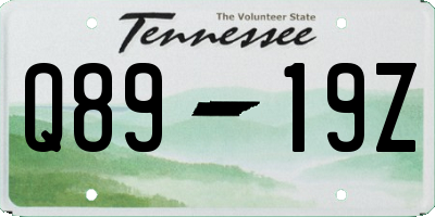 TN license plate Q8919Z