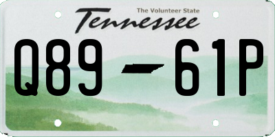 TN license plate Q8961P