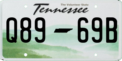 TN license plate Q8969B