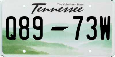 TN license plate Q8973W