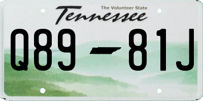 TN license plate Q8981J