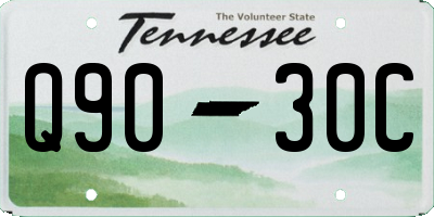 TN license plate Q9030C