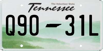 TN license plate Q9031L