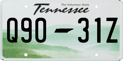 TN license plate Q9031Z