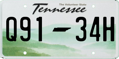 TN license plate Q9134H