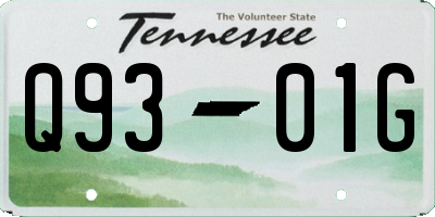 TN license plate Q9301G
