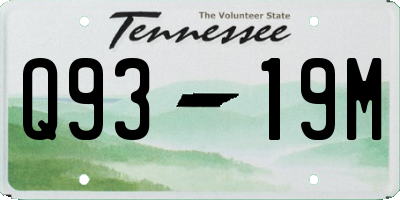 TN license plate Q9319M