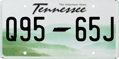 TN license plate Q9565J