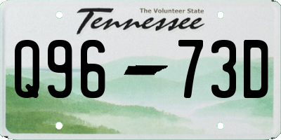 TN license plate Q9673D