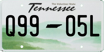TN license plate Q9905L