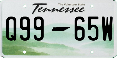 TN license plate Q9965W
