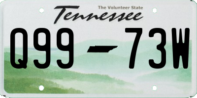 TN license plate Q9973W