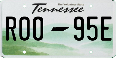 TN license plate R0095E