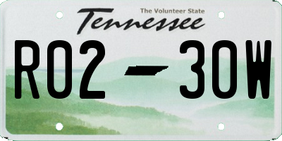 TN license plate R0230W
