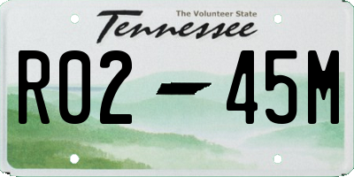 TN license plate R0245M