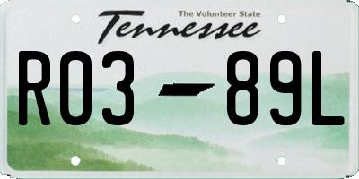 TN license plate R0389L