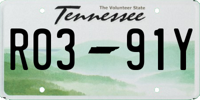 TN license plate R0391Y