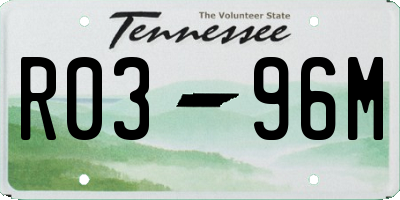 TN license plate R0396M
