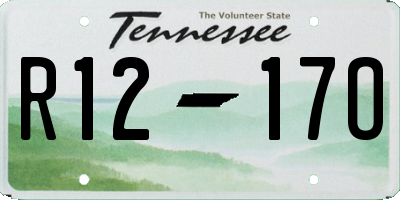 TN license plate R1217O