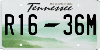 TN license plate R1636M