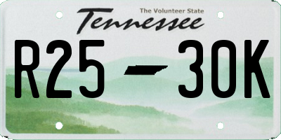 TN license plate R2530K