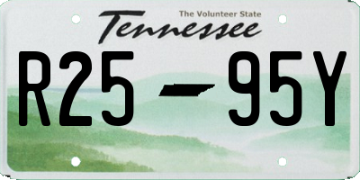 TN license plate R2595Y