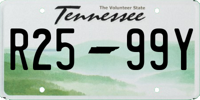 TN license plate R2599Y