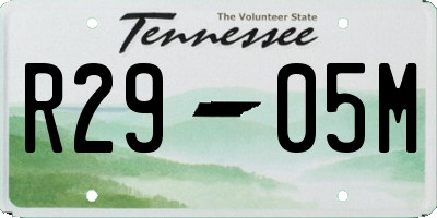 TN license plate R2905M