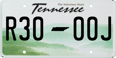 TN license plate R3000J