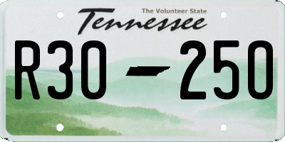 TN license plate R3025O